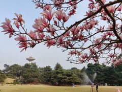 -国家植物园南园