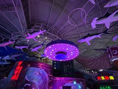 -烟台海昌鲸鲨海洋公园