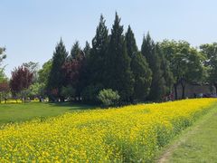 -北坞公园