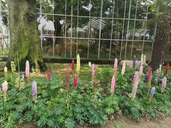 -南通洲际绿博园