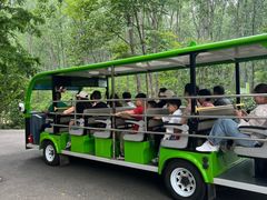 -合肥滨湖国家森林公园