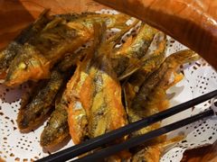 -丹江渔村(望京店)