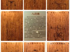 -广东中医药博物馆
