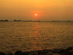 -吴淞炮台湾湿地森林公园烧烤区