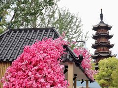 -龙华寺