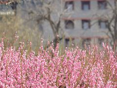 -北京明城墙遗址公园