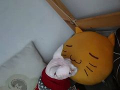 -艾贝尔宠物诊疗