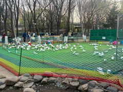 -长白岛森林公园