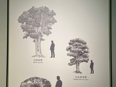 -中国茶叶博物馆(双峰馆区)