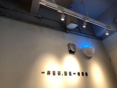 -喜茶(佛山顺德大良东乐路店)