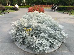 -徐家汇源景区-衡山公园