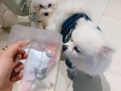 -怪兽屋·羊驼·猫咖·狗咖(俊华广场店)