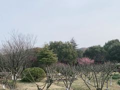 -白马涧龙池景区