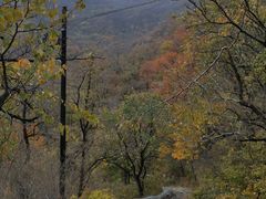 -阳台山自然风景区