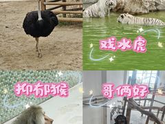 -太原动物园