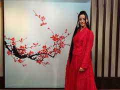 -武汉杜莎夫人蜡像馆