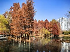 -白塘生态植物园