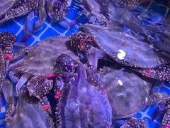 -渔民船说·北塘海鲜·天津菜·海肠捞饭(北塘古镇店)