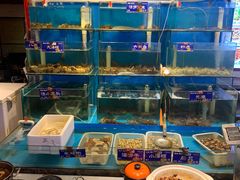 水产区-粥全粥到海鲜家常菜·海肠捞饭(嫩江路店)