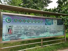 -御林古桑园