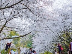 -杭州少年儿童公园