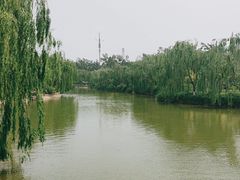 -南翠屏公园