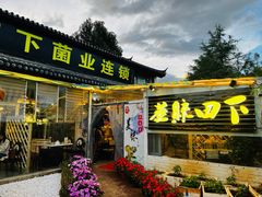 -蘑统田下·野生菌火锅