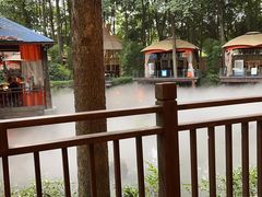 -二荆条·蜀鲜汇城市森林火锅