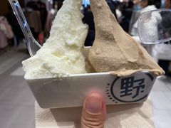 -野人先生现做冰淇淋(西安赛格店)