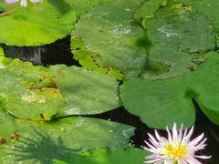 -国家植物园南园