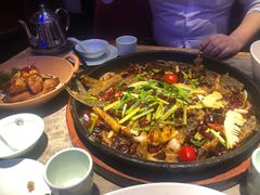 -老板恋上鱼(恒隆广场店)