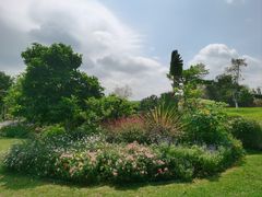 -东莞植物园