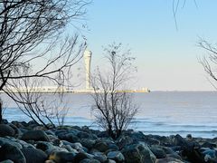 -上海吴淞炮台湾国家湿地公园