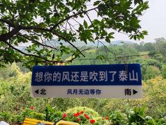 -泰山风景名胜区