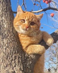 -意然瑜伽·普拉提