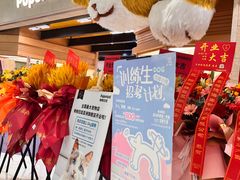 -帕帕拉兹宠物(亚洲旗舰店)