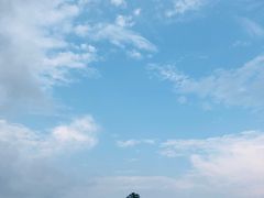 -大塘金香草谷