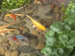 -龙宴海鲜城(经中路店)