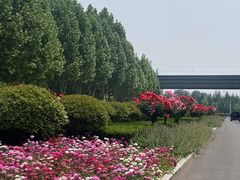 -河南财经政法大学(郑东校区)