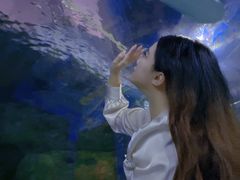 -福州罗源湾海洋世界旅游区