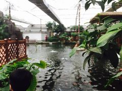 -汤山翠谷生态餐厅