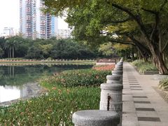 -南宁南湖公园