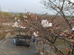 -苏州上方山国家森林公园
