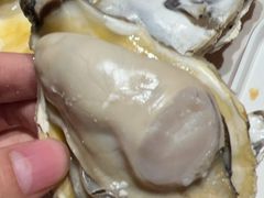 -杨氏青龙虾·羊蝎子(托乐嘉店)