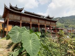 -紫鹊界梯田景区