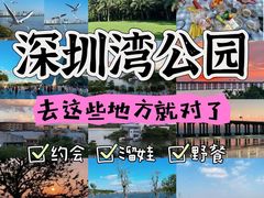 -深圳湾公园(南山区)