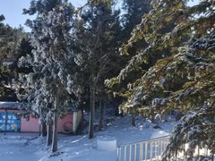 -溪口商量岗景区