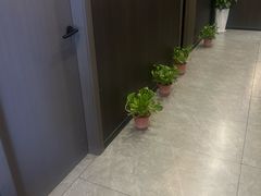 -鹿栖.精油SPA(金山世纪城店)