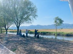 -野鸭湖国家湿地公园