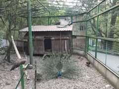 -藏龙百瀑风景区